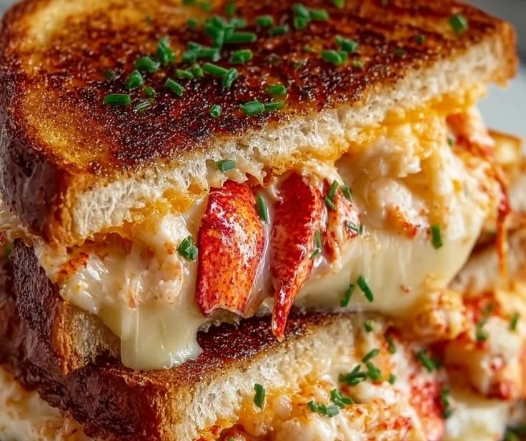 Lobster grilled cheese sandwich with melted cheese and fresh lobster meat on toasted bread
